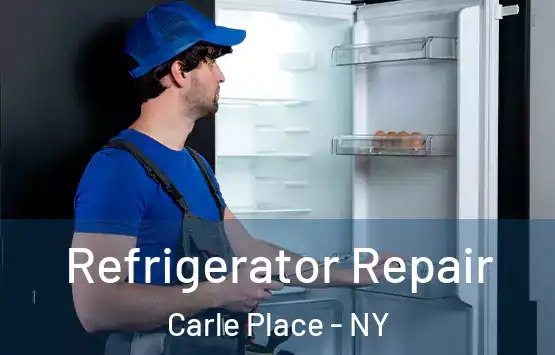  Refrigerator Repair Carle Place - NY