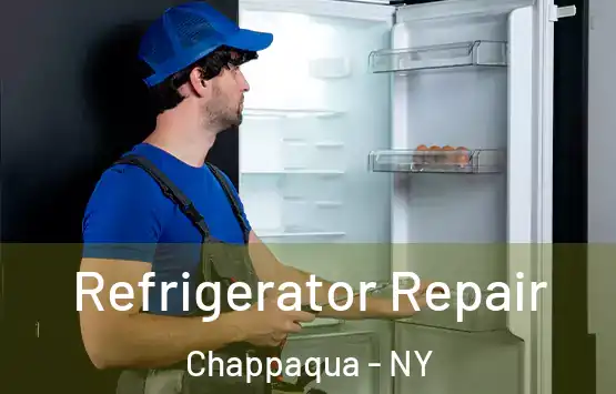  Refrigerator Repair Chappaqua - NY