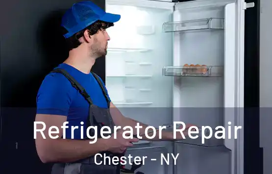  Refrigerator Repair Chester - NY