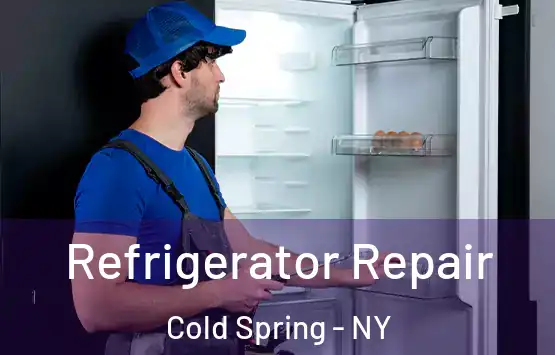  Refrigerator Repair Cold Spring - NY