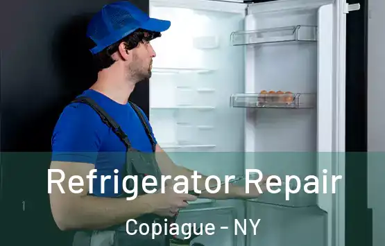  Refrigerator Repair Copiague - NY