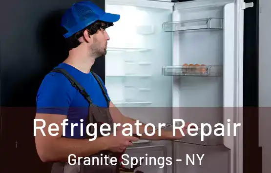  Refrigerator Repair Granite Springs - NY