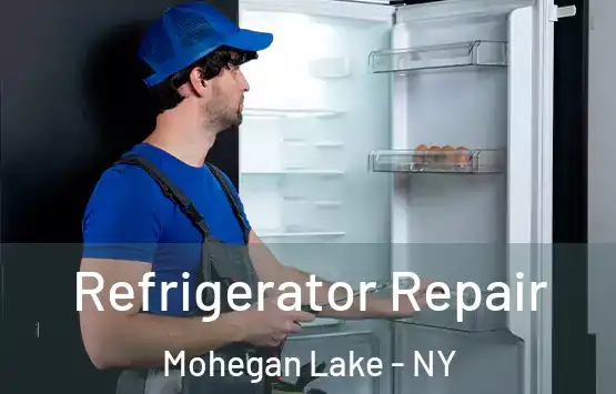  Refrigerator Repair Mohegan Lake - NY