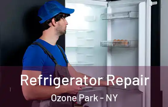  Refrigerator Repair Ozone Park - NY