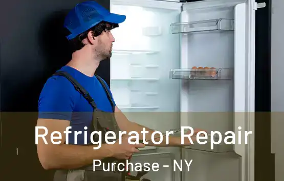  Refrigerator Repair Purchase - NY