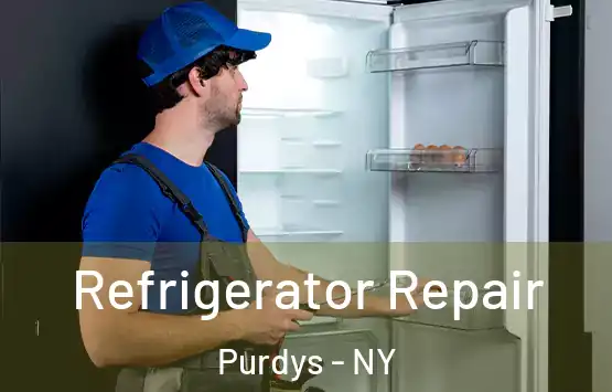  Refrigerator Repair Purdys - NY