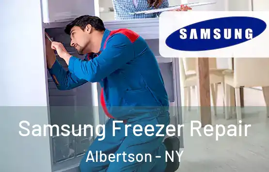  Samsung Freezer Repair Albertson - NY
