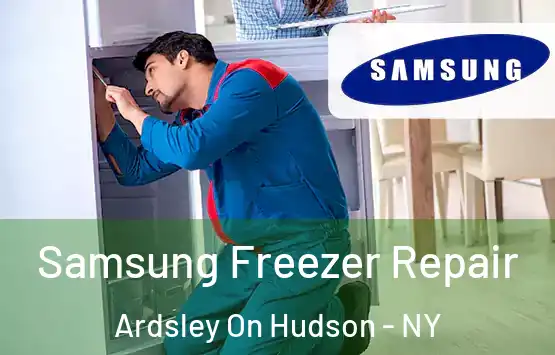  Samsung Freezer Repair Ardsley On Hudson - NY