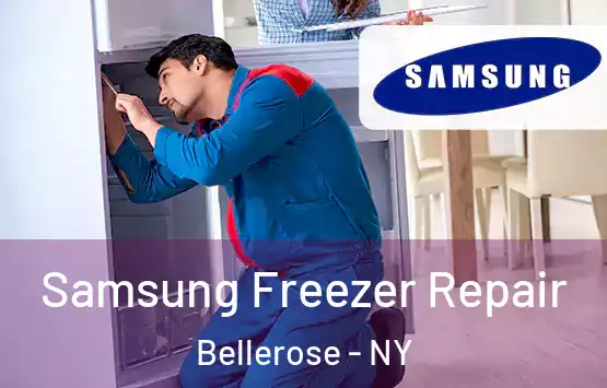  Samsung Freezer Repair Bellerose - NY