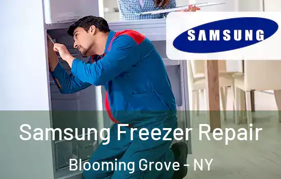  Samsung Freezer Repair Blooming Grove - NY