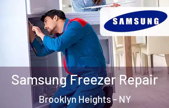  Samsung Freezer Repair Brooklyn Heights - NY