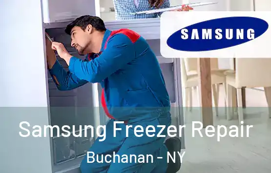  Samsung Freezer Repair Buchanan - NY