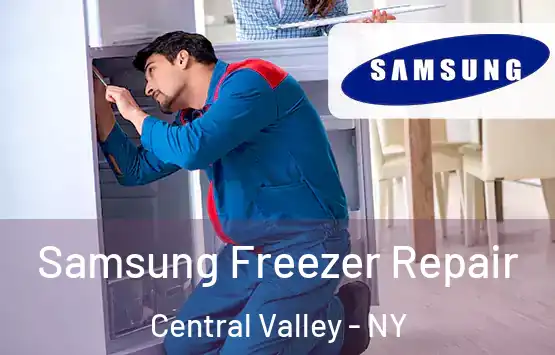  Samsung Freezer Repair Central Valley - NY