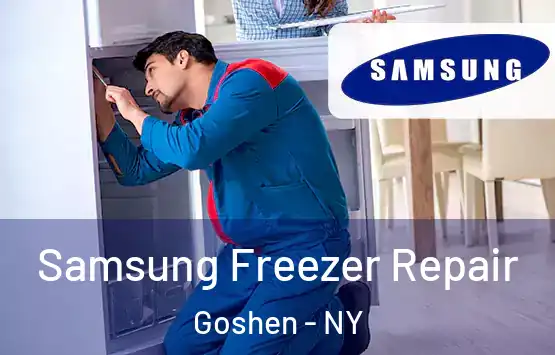  Samsung Freezer Repair Goshen - NY
