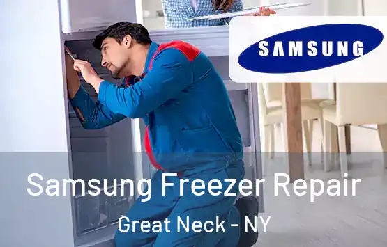  Samsung Freezer Repair Great Neck - NY
