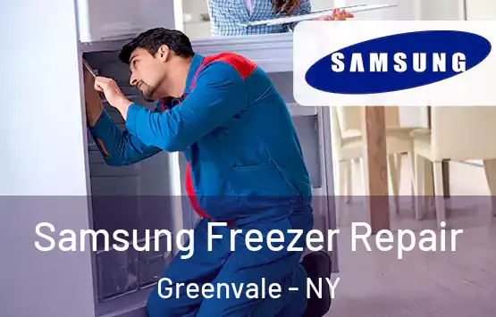 Samsung Freezer Repair Greenvale - NY