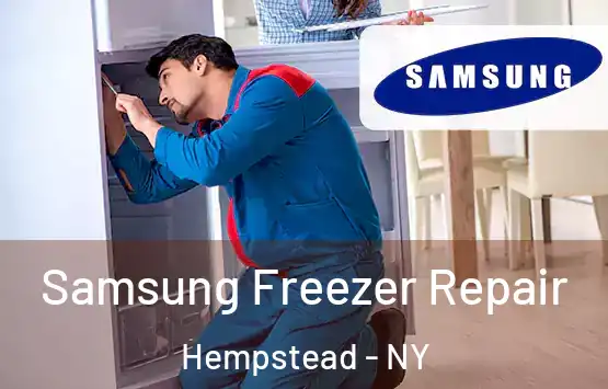  Samsung Freezer Repair Hempstead - NY