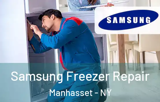  Samsung Freezer Repair Manhasset - NY