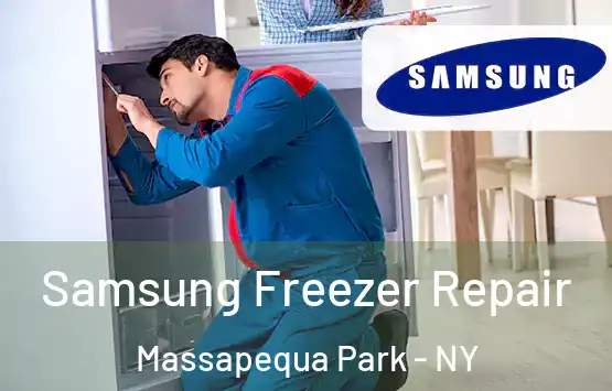  Samsung Freezer Repair Massapequa Park - NY