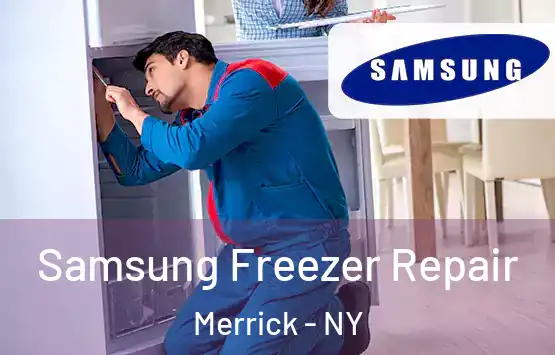  Samsung Freezer Repair Merrick - NY