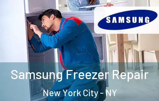  Samsung Freezer Repair New York City - NY