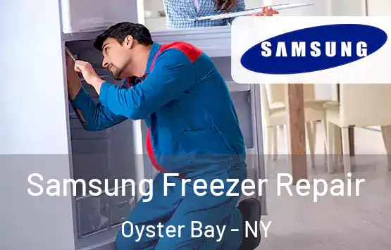  Samsung Freezer Repair Oyster Bay - NY