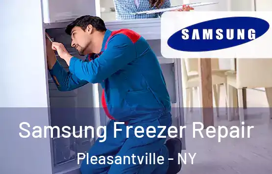  Samsung Freezer Repair Pleasantville - NY