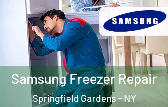  Samsung Freezer Repair Springfield Gardens - NY