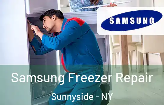  Samsung Freezer Repair Sunnyside - NY