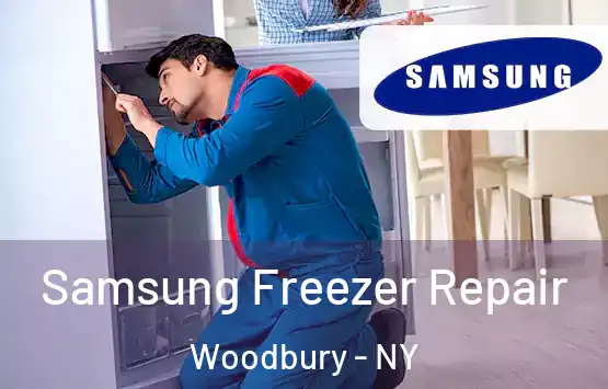  Samsung Freezer Repair Woodbury - NY