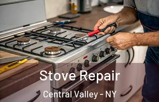  Stove Repair Central Valley - NY