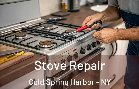  Stove Repair Cold Spring Harbor - NY