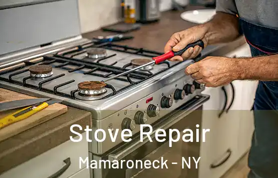  Stove Repair Mamaroneck - NY