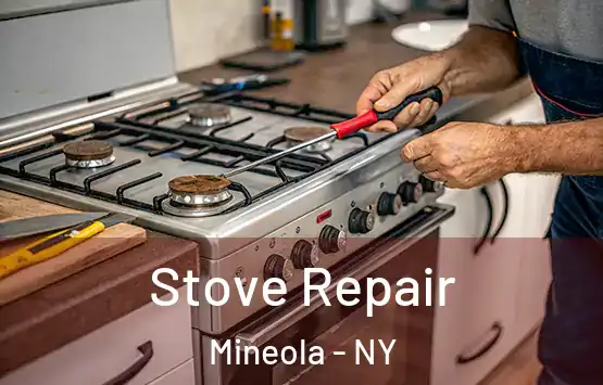  Stove Repair Mineola - NY