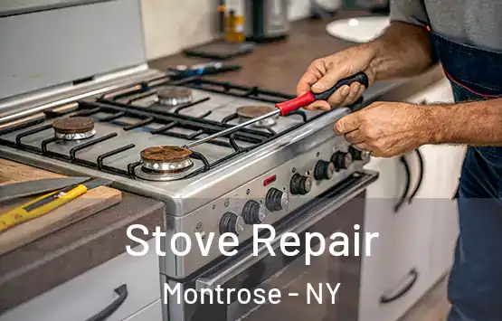  Stove Repair Montrose - NY