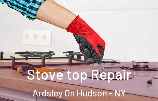  Stove top Repair Ardsley On Hudson - NY