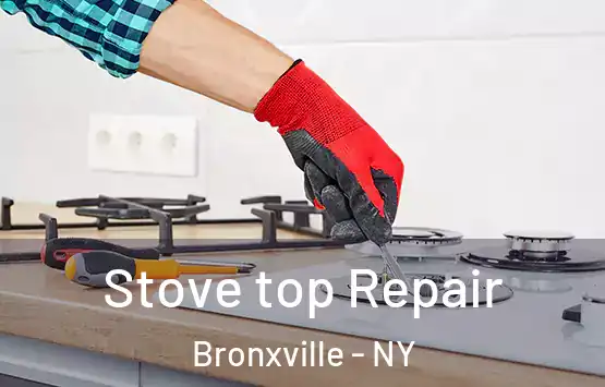  Stove top Repair Bronxville - NY