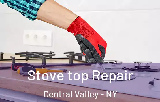  Stove top Repair Central Valley - NY