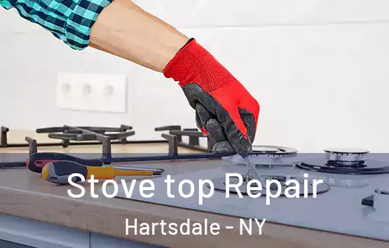  Stove top Repair Hartsdale - NY
