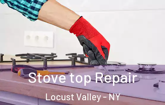  Stove top Repair Locust Valley - NY