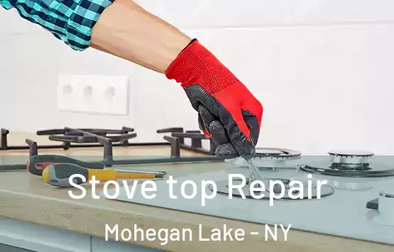  Stove top Repair Mohegan Lake - NY