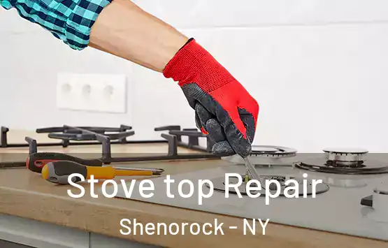  Stove top Repair Shenorock - NY