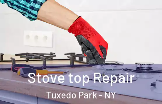  Stove top Repair Tuxedo Park - NY
