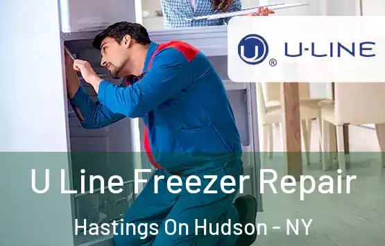  U Line Freezer Repair Hastings On Hudson - NY
