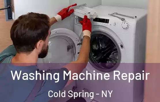 Washing Machine Repair Cold Spring - NY