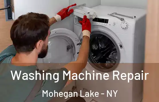  Washing Machine Repair Mohegan Lake - NY
