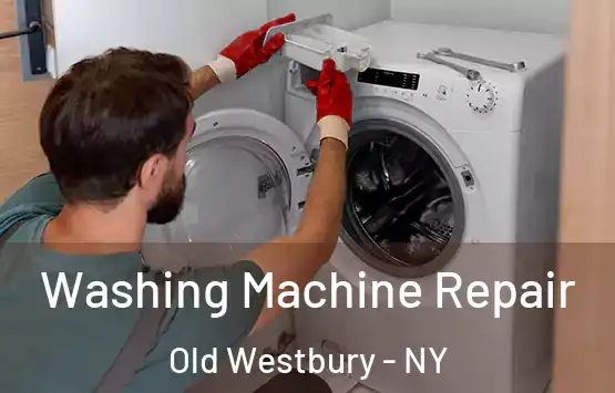  Washing Machine Repair Old Westbury - NY
