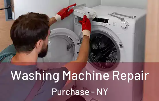  Washing Machine Repair Purchase - NY