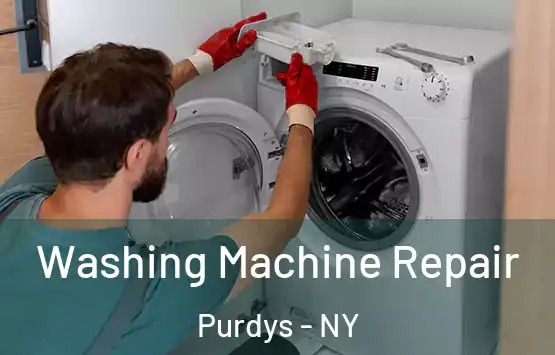  Washing Machine Repair Purdys - NY