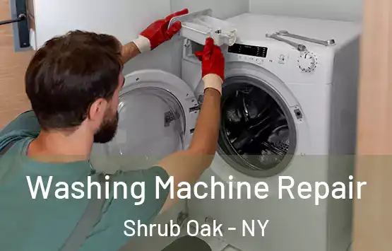  Washing Machine Repair Shrub Oak - NY